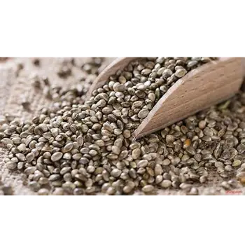 Natural Hemp Seeds